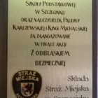 Ognisko ze Strażą Miejską